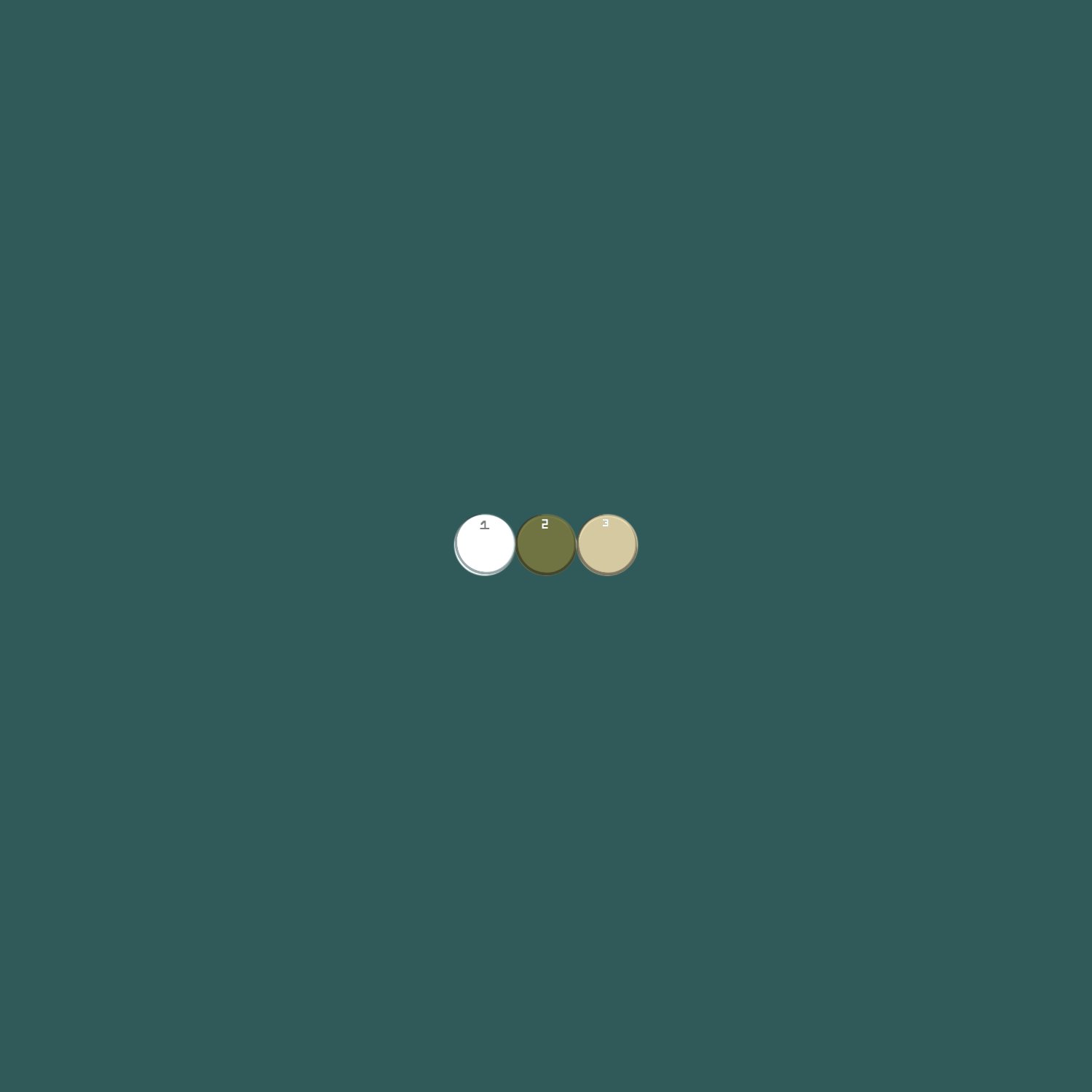 Custom Map map