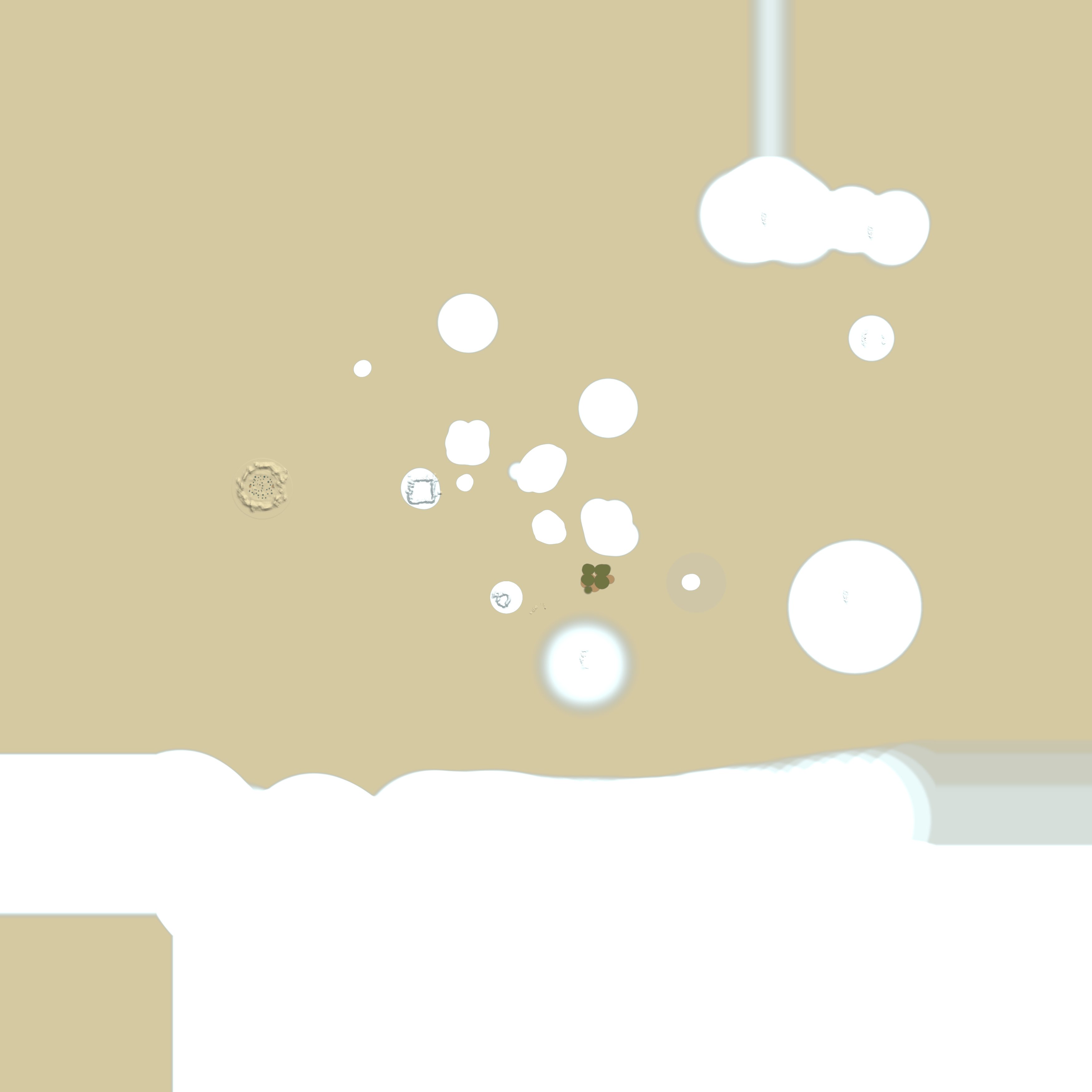 Custom Map
