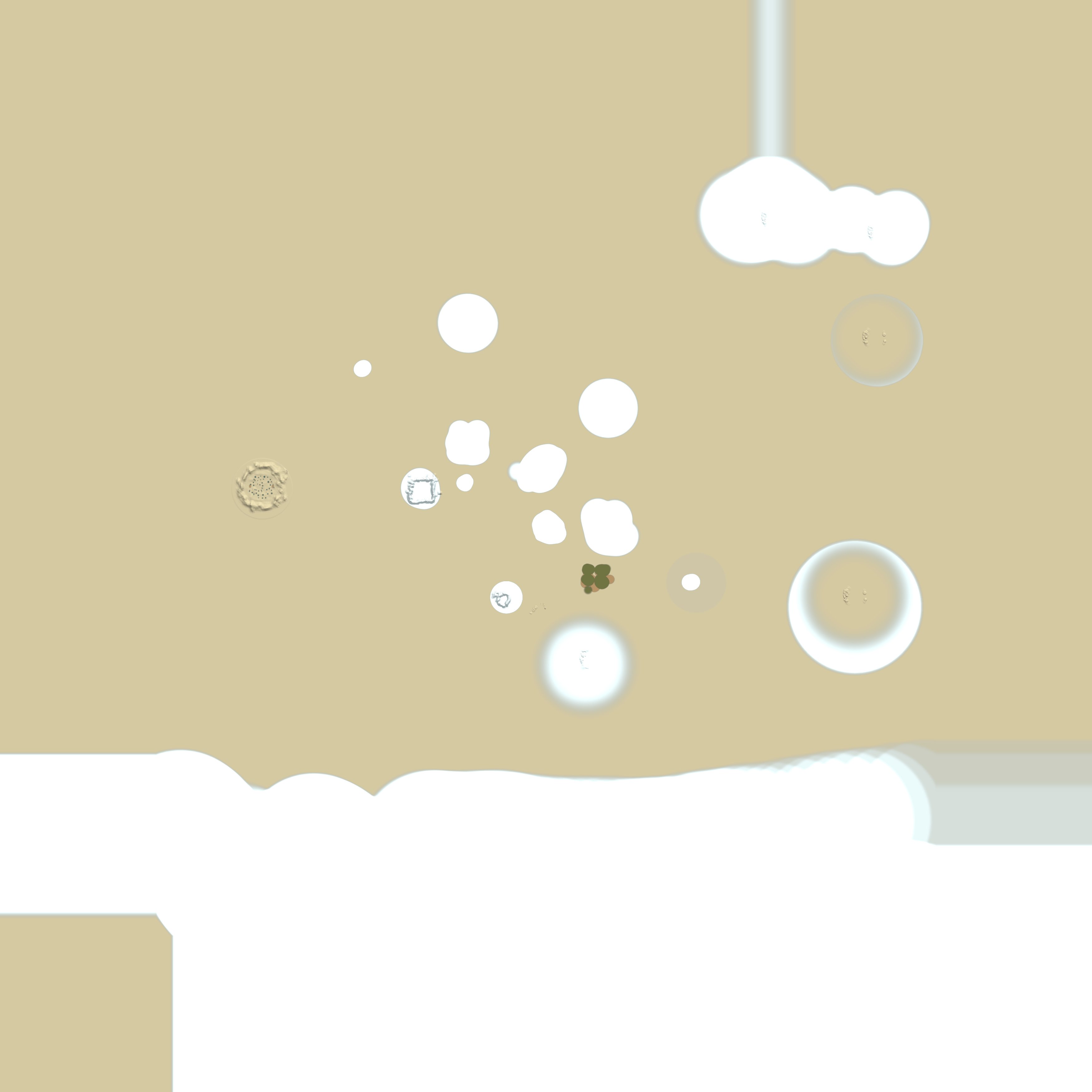 Custom Map