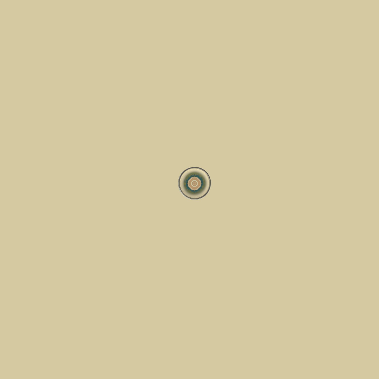 Map for A Rust Server