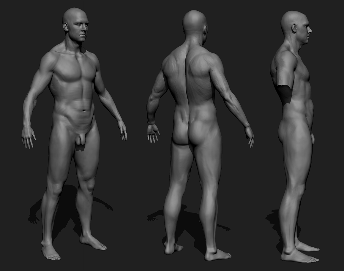 I've been looking into reworking the male character model. 
