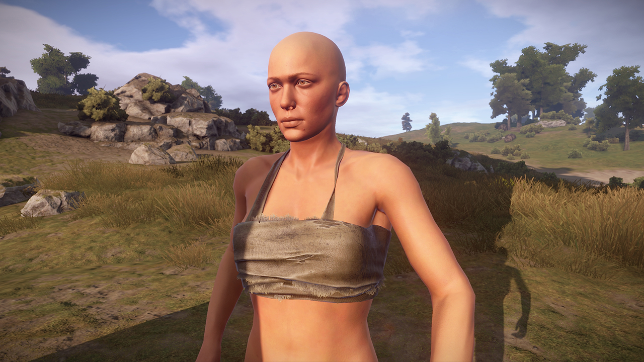 Dev blog rust фото 104