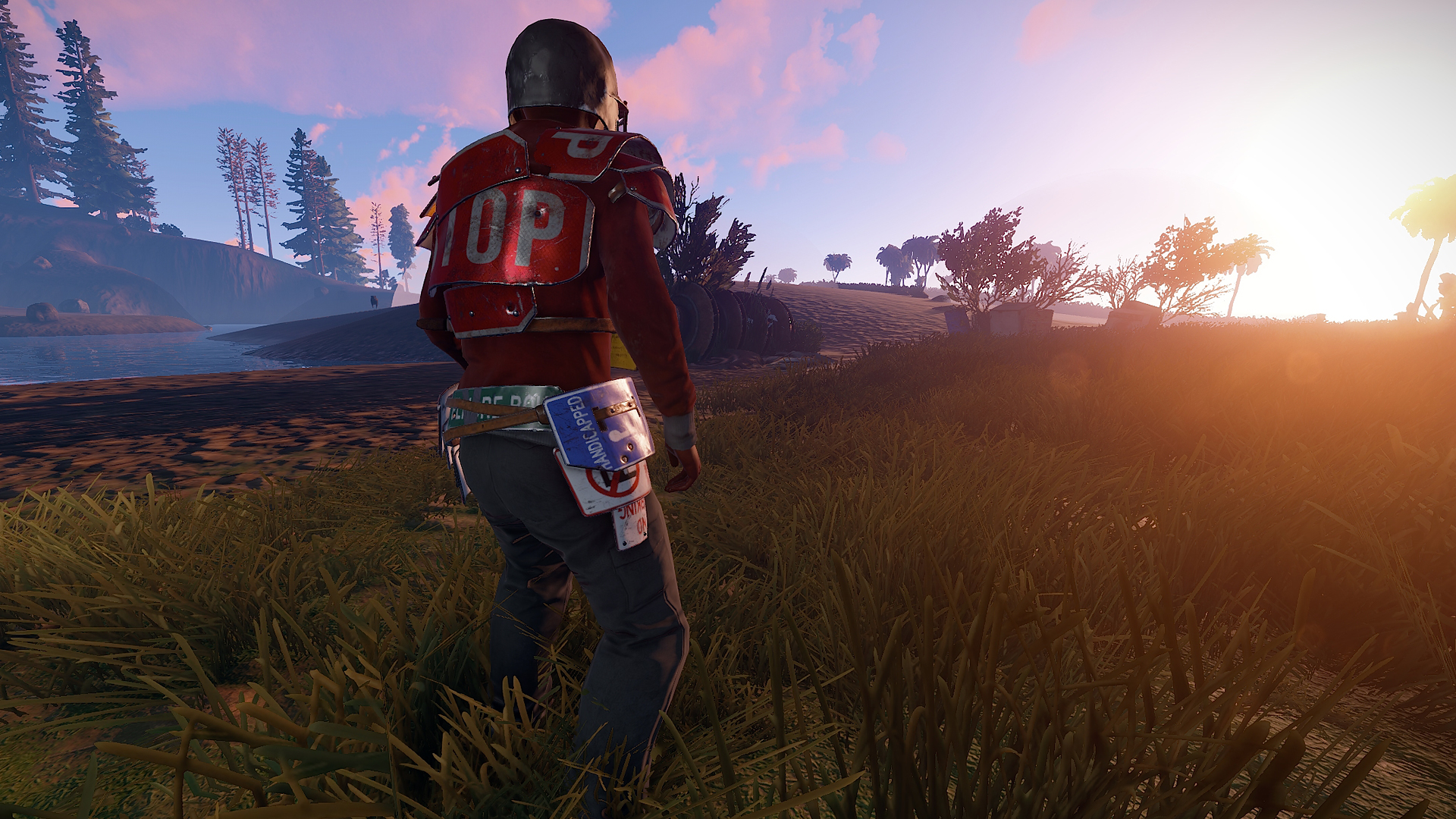 Devblog 159 - Rust