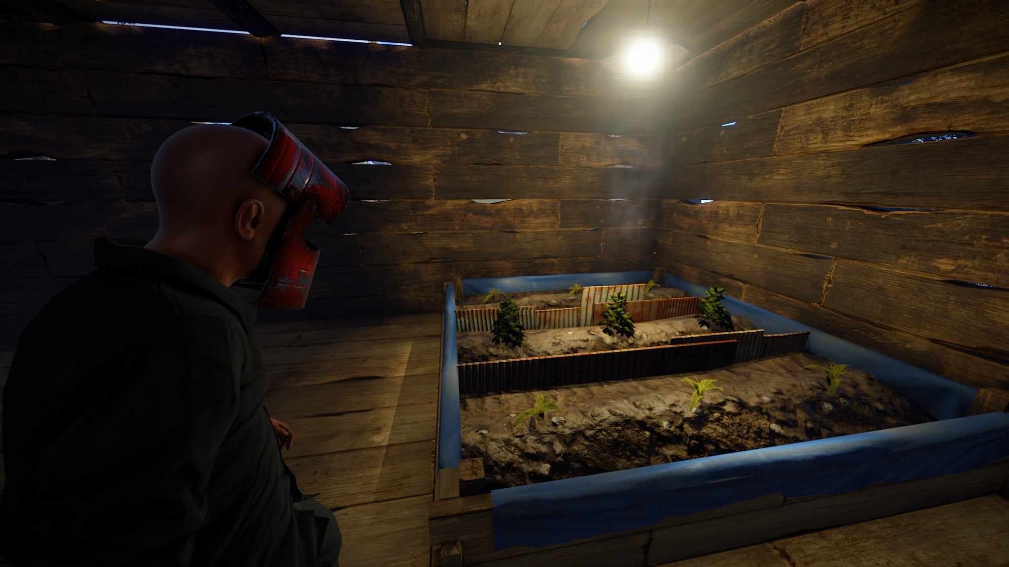 212 devblog rust. Rust 263 Devblog.