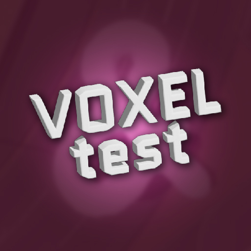 Voxel Test